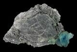 Blue-Green Fluorite Crystal on Druzy Quartz - China #146953-1